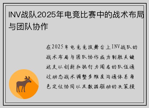 INV战队2025年电竞比赛中的战术布局与团队协作